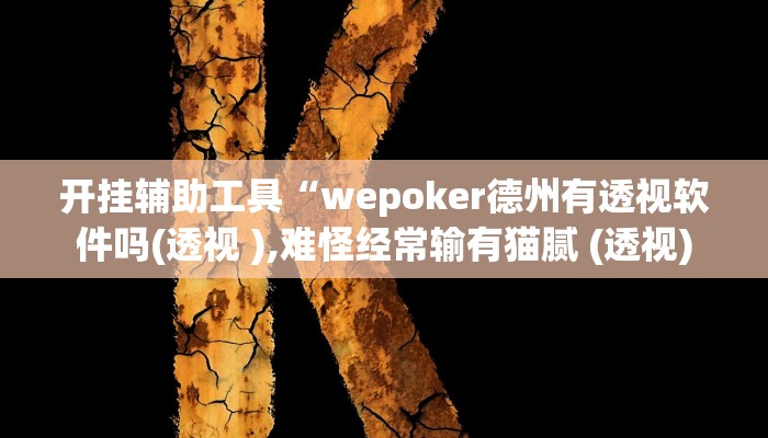 辅助神器“werplan透视挂辅助教程”开挂详细教程