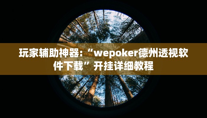 辅助教程“hhpoker透视脚本!(透视)详细辅助透视教程
