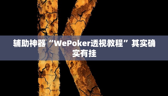 辅助神器“WePoker透视教程”其实确实有挂