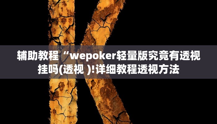开挂辅助工具“wepokerplus德州作弊辅助挂软件!(透视)详细辅助透视教程