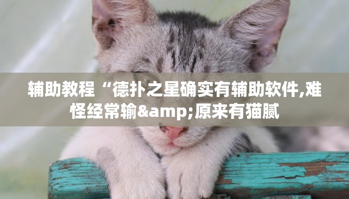 教程辅助“AApoker开挂透视软件”其实确实有挂 教程辅助“AApoker开挂透视软件”其实确实有挂