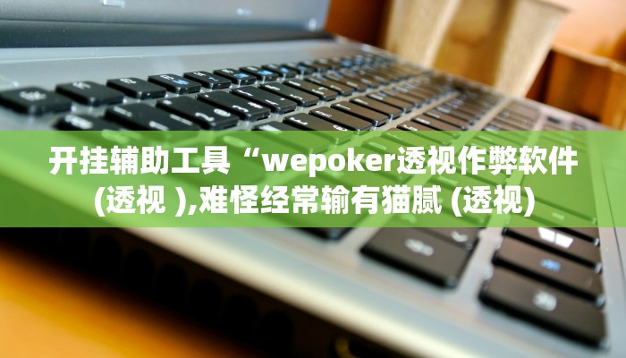 开挂辅助工具“wepoker辅助挂透视作弊软件(作弊)辅助透视教程”