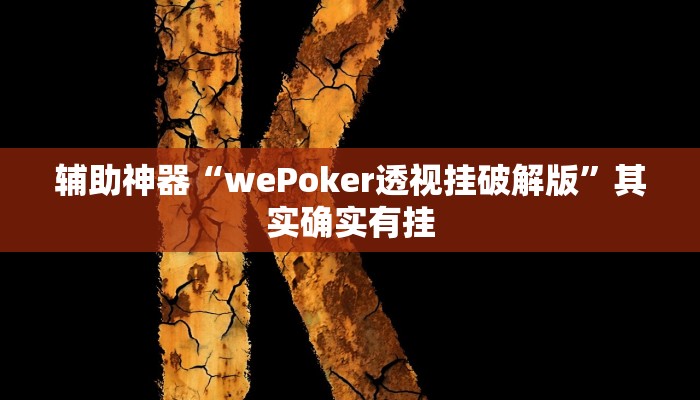 开挂辅助工具“wepoker德州作弊挂(透视 ),难怪经常输有猫腻 (透视)