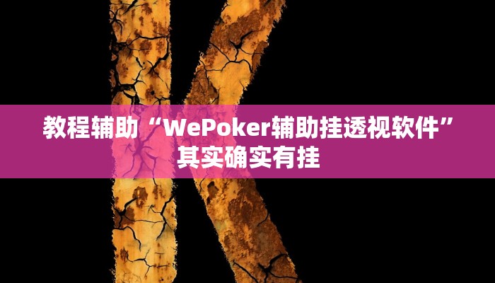 教程辅助“WePoker辅助挂透视软件”其实确实有挂