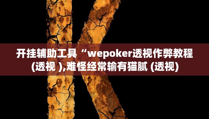 开挂辅助工具“wepoker透视作弊教程(透视 ),难怪经常输有猫腻 (透视)