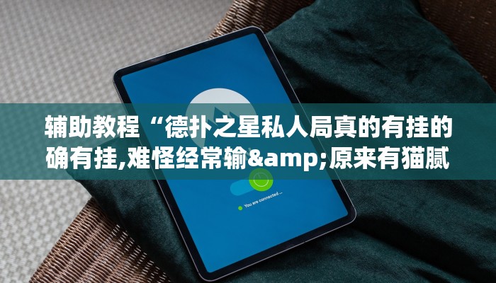 开挂辅助工具“德扑之星辅助挂作弊透视方法(透视 ),难怪经常输有猫腻 (透视)