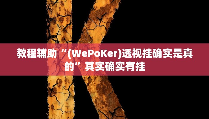 辅助教程“德州局wepoker透视(透视 ),难怪经常输有猫腻 (透视)