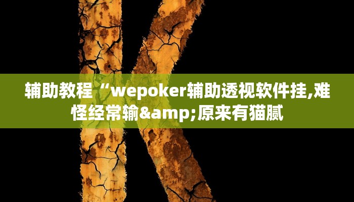 辅助教程“wepoker辅助透视软件挂,难怪经常输&原来有猫腻