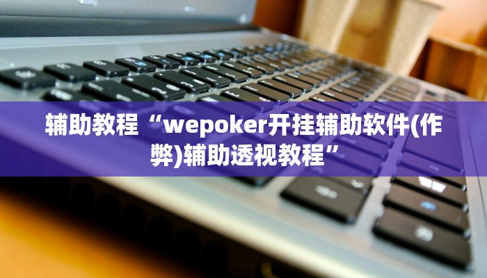 辅助教程“wepoker开挂辅助软件(作弊)辅助透视教程”