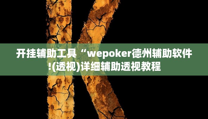 开挂辅助工具“wepoker德州辅助软件!(透视)详细辅助透视教程