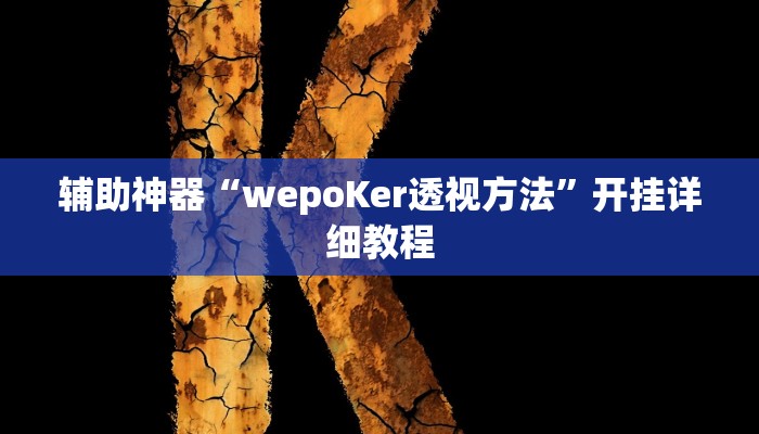 辅助神器“wepoKer透视方法”开挂详细教程 辅助神器“wepoKer透视方法”开挂详细教程