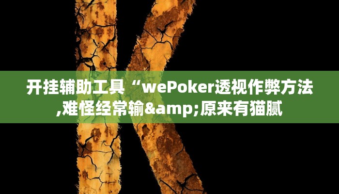 开挂辅助工具“wePoker透视作弊方法,难怪经常输&原来有猫腻