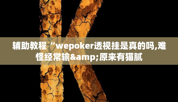 开挂辅助工具“wepoker作弊挂是真的吗(作弊)辅助透视教程”