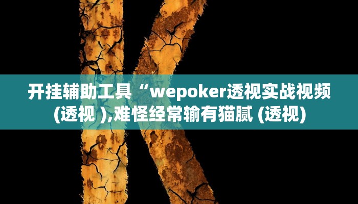 开挂辅助工具“wepoker透视实战视频(透视 ),难怪经常输有猫腻 (透视)