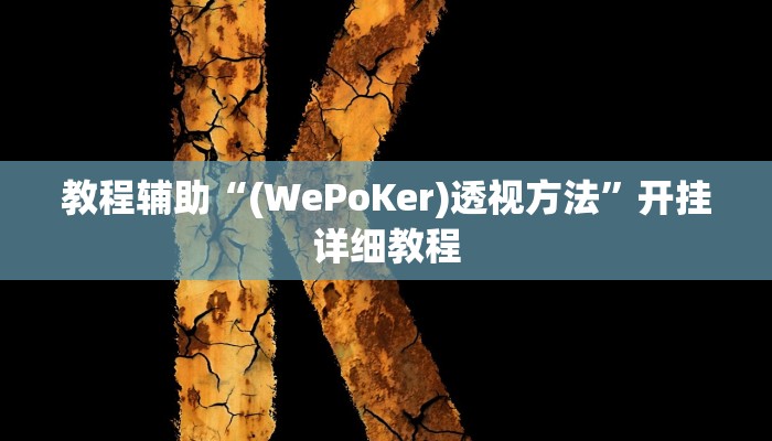 教程辅助“(WePoKer)透视方法”开挂详细教程 教程辅助“(WePoKer)透视方法”开挂详细教程