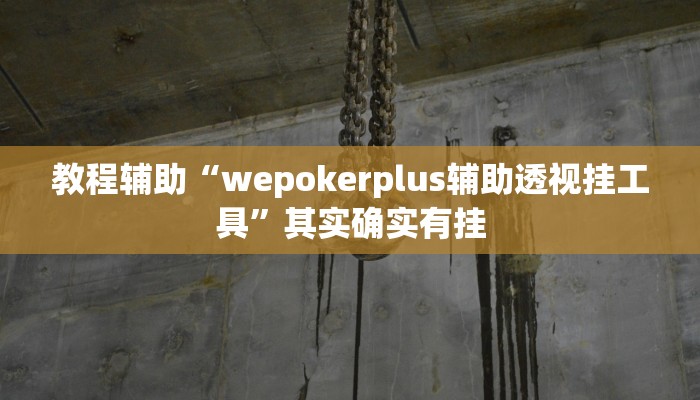 教程辅助“wepokerplus辅助透视挂工具”其实确实有挂