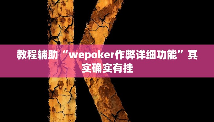 教程辅助“wepoker作弊详细功能”其实确实有挂