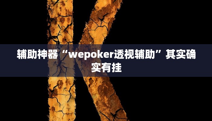 辅助神器“wepoker透视辅助”其实确实有挂