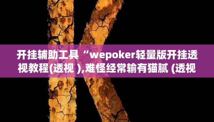 开挂辅助工具“wepoker轻量版开挂透视教程(透视 ),难怪经常输有猫腻 (透视) 开挂辅助工具“wepoker轻量版开挂透视教程(透视 ),难怪经常输有猫腻 (透视)