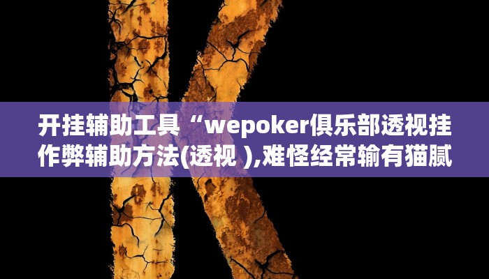 开挂辅助工具“wepoker俱乐部透视挂作弊辅助方法(透视 ),难怪经常输有猫腻 (透视)