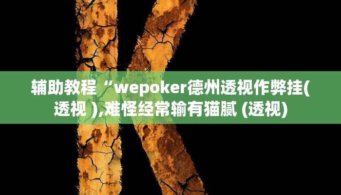 辅助教程“wepoker德州透视作弊挂(透视 ),难怪经常输有猫腻 (透视)