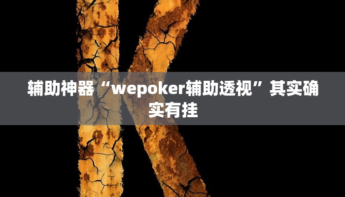 辅助神器“wepoker辅助透视”其实确实有挂