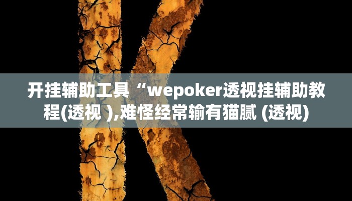 开挂辅助工具“wepoker透视挂辅助教程(透视 ),难怪经常输有猫腻 (透视)