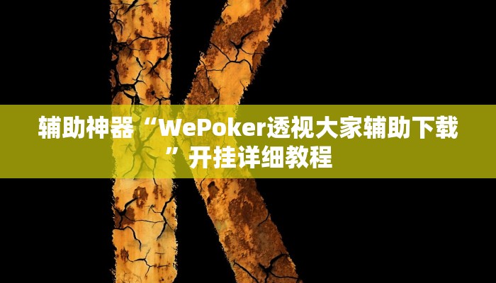 辅助神器“WePoker透视大家辅助下载”开挂详细教程
