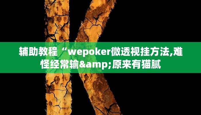 辅助教程“wepoker微透视挂方法,难怪经常输&原来有猫腻