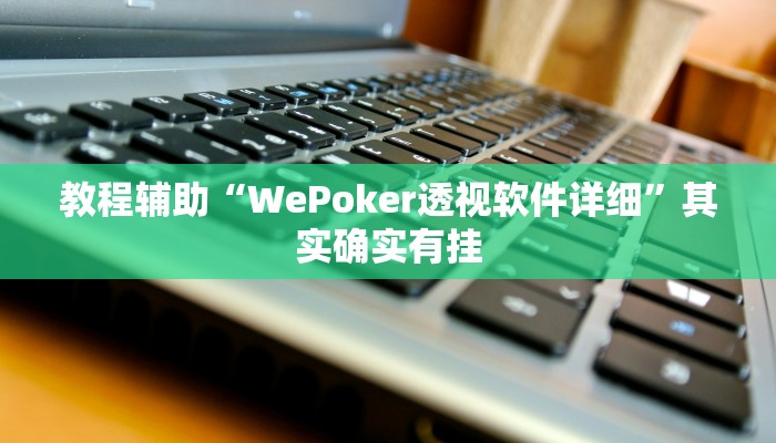 教程辅助“WePoker透视软件详细”其实确实有挂