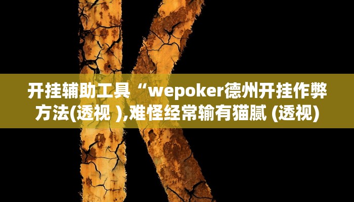 开挂辅助工具“wepoker德州开挂作弊方法(透视 ),难怪经常输有猫腻 (透视)