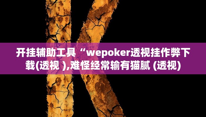 开挂辅助工具“wepoker透视挂作弊下载(透视 ),难怪经常输有猫腻 (透视)