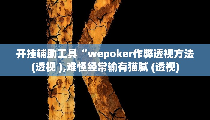开挂辅助工具“wepoker作弊透视方法(透视 ),难怪经常输有猫腻 (透视)