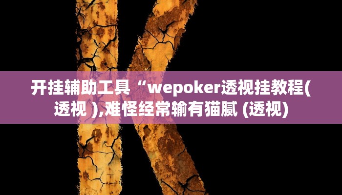 开挂辅助工具“wepoker透视挂教程(透视 ),难怪经常输有猫腻 (透视)