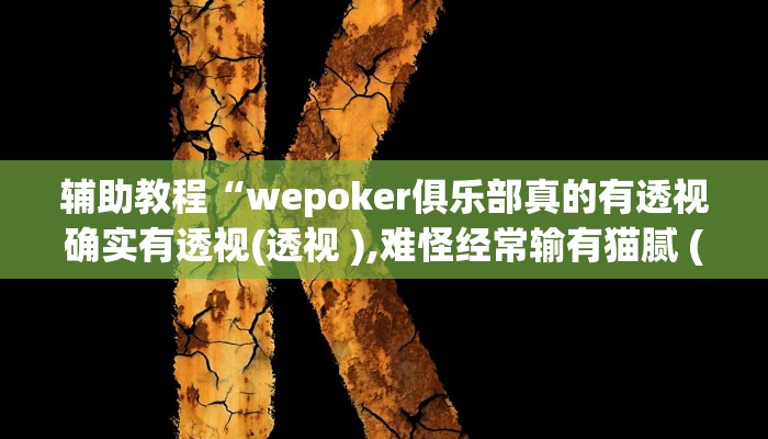 辅助教程“wepoker俱乐部真的有透视确实有透视(透视 ),难怪经常输有猫腻 (透视)