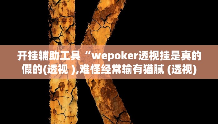 开挂辅助工具“wepoker透视挂是真的假的(透视 ),难怪经常输有猫腻 (透视)