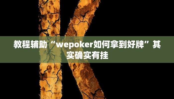 教程辅助“wepoker如何拿到好牌”其实确实有挂