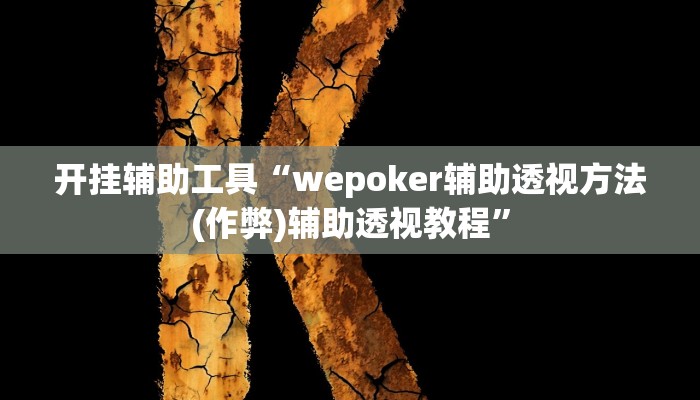 开挂辅助工具“wepoker辅助透视方法(作弊)辅助透视教程”