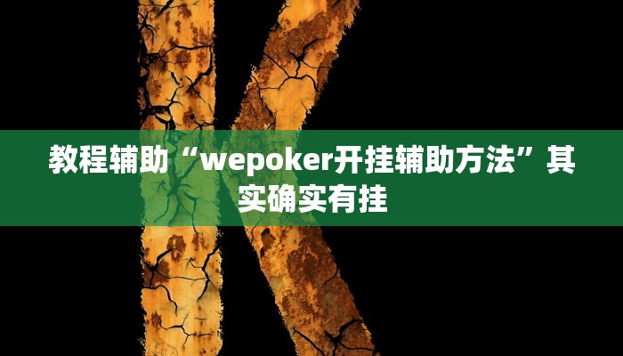 教程辅助“wepoker开挂辅助方法”其实确实有挂