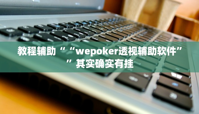 教程辅助““wepoker透视辅助软件””其实确实有挂