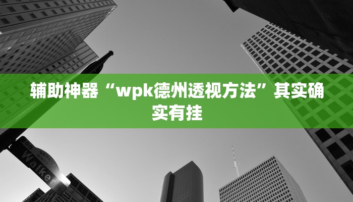 辅助神器“wpk德州透视方法”其实确实有挂
