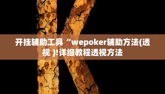 开挂辅助工具“wepoker辅助方法(透视 )!详细教程透视方法