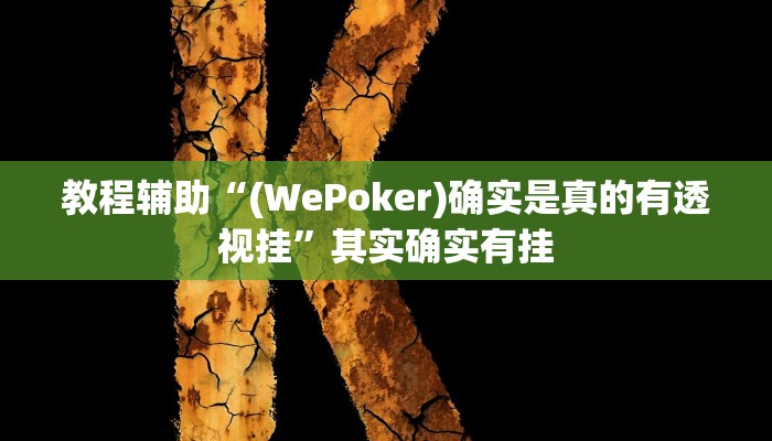 教程辅助“(WePoker)确实是真的有透视挂”其实确实有挂