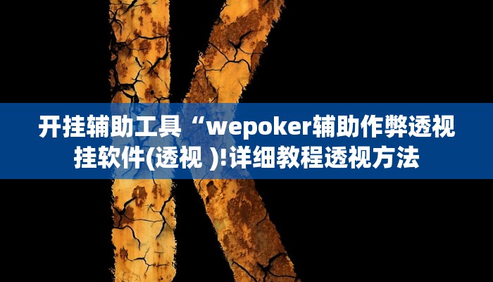 开挂辅助工具“wepoker辅助作弊透视挂软件(透视 )!详细教程透视方法