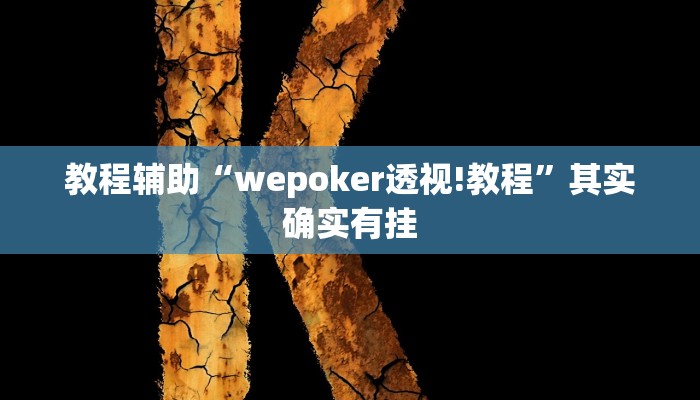 教程辅助“wepoker透视!教程”其实确实有挂