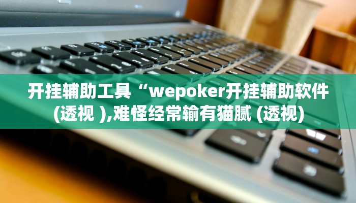 开挂辅助工具“wepoker开挂辅助软件(透视 ),难怪经常输有猫腻 (透视)