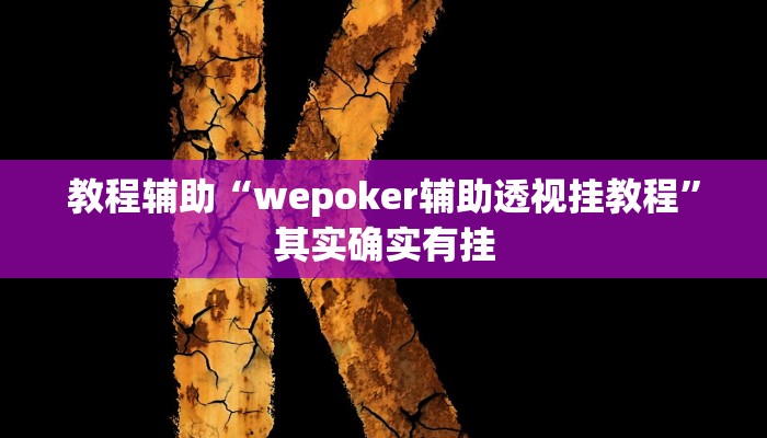 辅助教程“wepoker作弊挂辅助挂(透视 ),难怪经常输有猫腻 (透视)