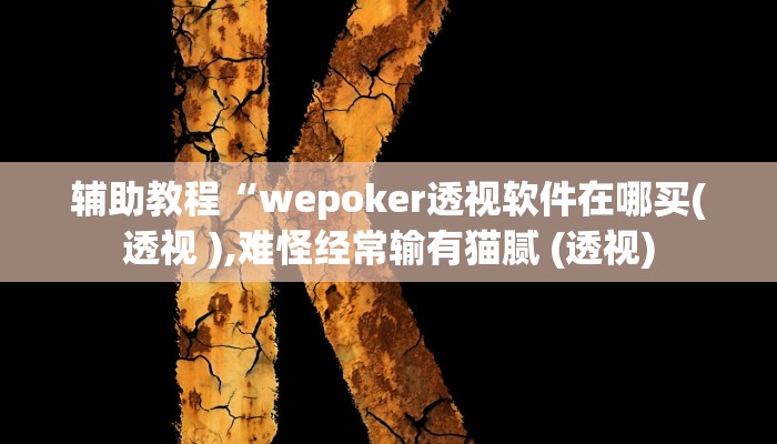 辅助教程“wepoker透视软件在哪买(透视 ),难怪经常输有猫腻 (透视)