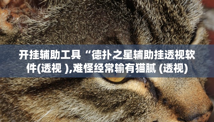 开挂辅助工具“德扑之星辅助挂透视软件(透视 ),难怪经常输有猫腻 (透视)