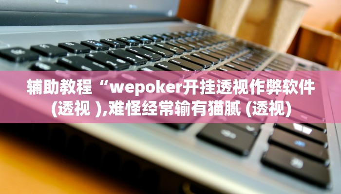辅助教程“wepoker开挂透视作弊软件(透视 ),难怪经常输有猫腻 (透视)